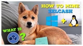 What Is Zelcash? How To Mine Zelcash On Windows Linux Smos