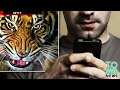 Lalake sa UK, nasira ang buhay dahil sa isang 'tiger sex' video! Lalake sa UK, nasira ang buhay dahil sa isang 'tiger sex' video!
