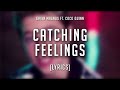 Gavin Magnus - Catching Feelings (Lyric Video) ft. Coco Quinn