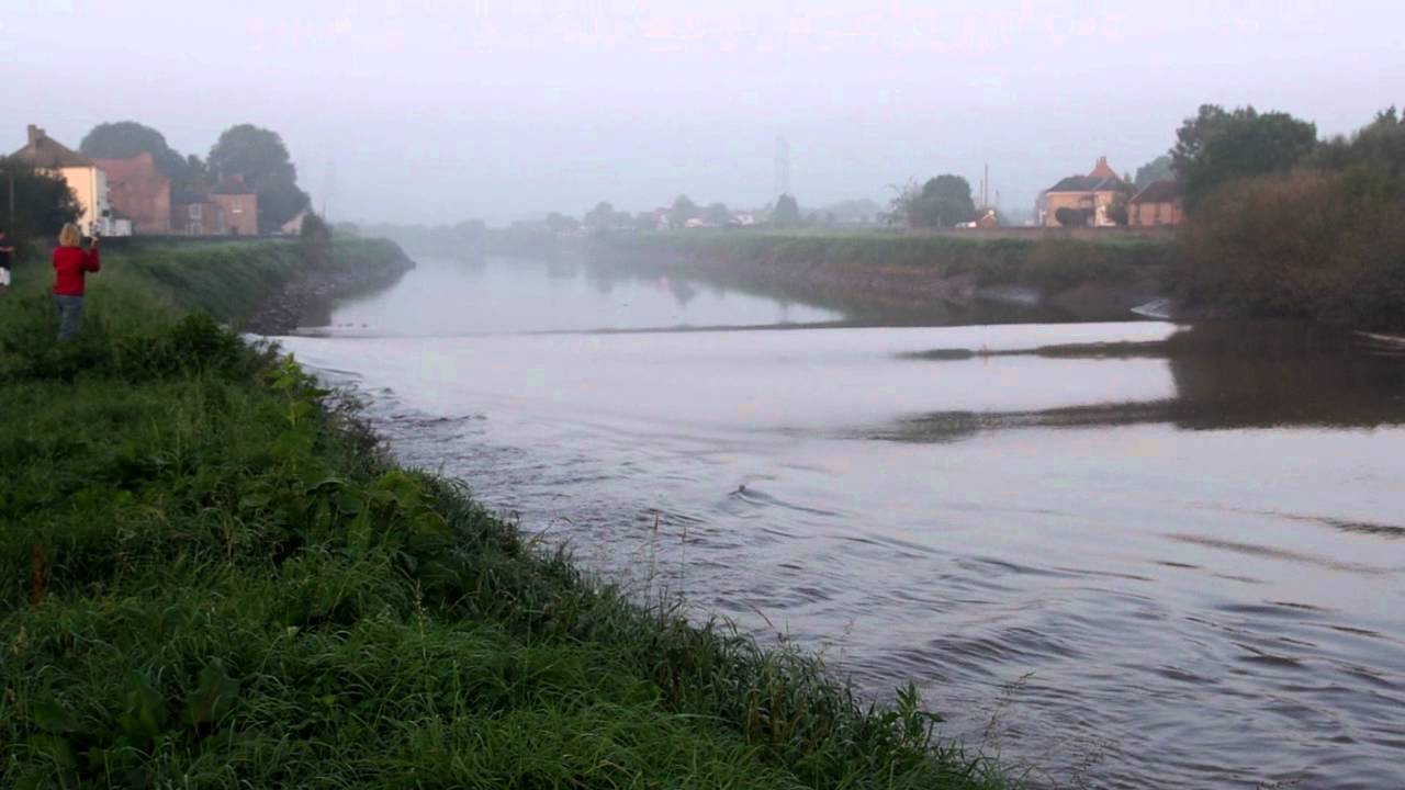 Trent Aegir 29th September 2011 East Stockwith YouTube