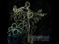 Elysian - Conquest