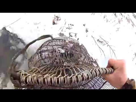 ловля андатр ловля андатр