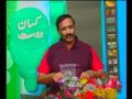 Paliam - Interesting Facts Paliam - Interesting Facts