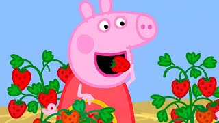Peppa Pig ⭐ Çiçekler 🌺 Programının en iyi bölümleri | Çocuklar için Çizgi Filmle