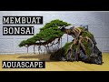 Step by step CARA MEMBUAT BONSAI AQUASCAPE !! Semi HARDSCAPE