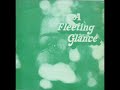 view Fleeting