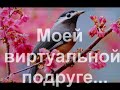 Видео Красивая музыка о нежности и любви (Арабатский конь).mp4