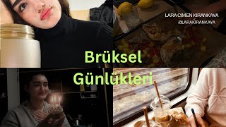 Brükselde Öğrenci Olarak Bir Kaç Gün