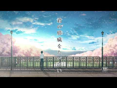劇場アニメ「君の膵臓をたべたい」予告編（2018年公開） (08月07日 13:04 / 19 users)