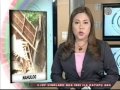 TV Patrol Panay - July 9, 2014