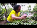 Sonreír | BUENA IDEA - MALA IDEA | IrreverenTV