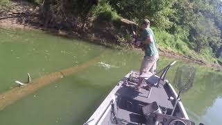 Kentucky River Bow Fishing