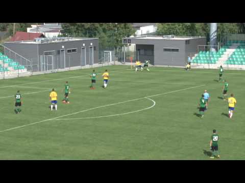 Sestih ptelskho utkn se Sokolovem (22.7.2016)