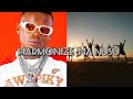 Harmonize-Na nusu Lyrics Video