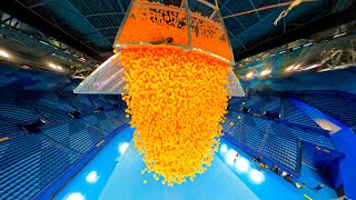 We Dropped 100,000 Ping Pong Balls From Arena Roof!