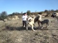 caner ve uğur cesaret testi :)