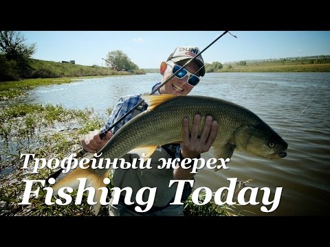 рыбалка в апреле в черноземье видео рыбалка в апреле в черноземье видео