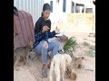 Beautiful Single Mom Feeding And Make Love With Her Dog
