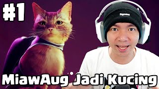 MiawAug Bisa Menjadi Kucing - Stray Indonesia Part 1
