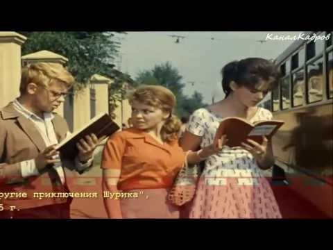 Стих про шурика Стих про шурика