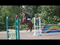 HORSE FAILS AND FALLS (MUST WATCH)