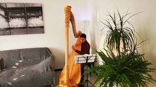 Richard Strauss, Don Juan, Harp Part, Antonio Ostuni Orchestral Excerpts Harp