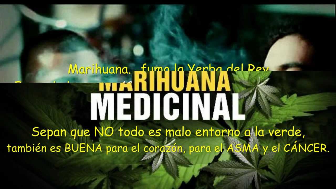 Morodo - Fumo Marihuana (+ Letra) HD NUEVO 2013 - YouTube