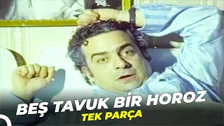 Beş Tavuk Bir Horoz | Zeki Alasya Eski Türk Filmi  İzle