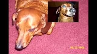 Reupload Hank Supdawgs Creations Sparta Remix