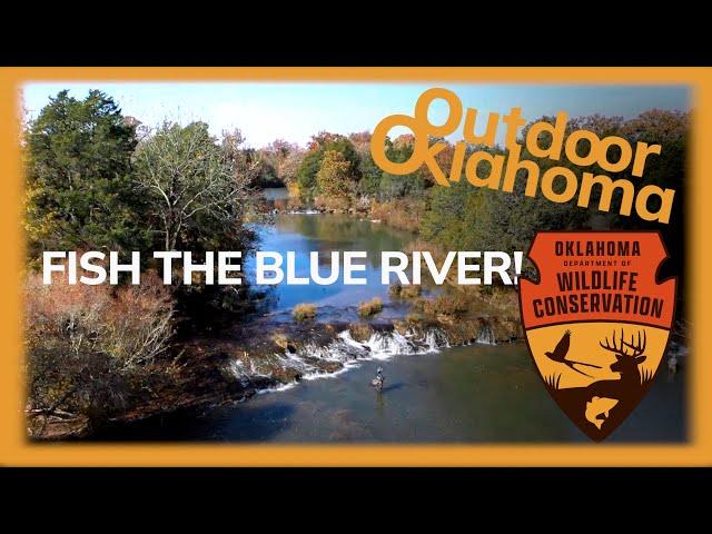 Watch Trout Fishing the Blue River, and Roger Springer Blue River Songwriter on YouTube.