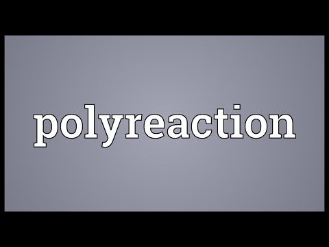 Header of Polyreaction