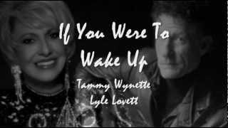 Watch Lyle Lovett If You Were To Wake Up video