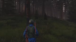 488, Dayz