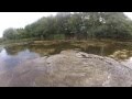 suite de: "wild carp stalking: combat de titan" Julien avec sa caméra embarquée pêche à rôder les carpes en lac sans épuisette m