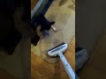 Anime44 動画17a