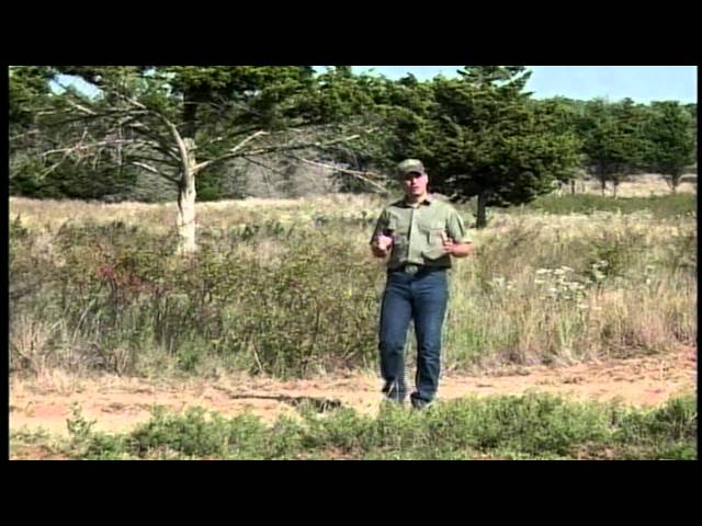 Watch Wildlife Food Plots (2006) on YouTube.