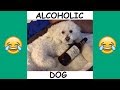 Quincy and Patrick Barnes Vine Compilation - BEST Patrick and Quincy Vines and Instagram Videos 2017 Quincy and Patrick Barnes Vine Compilation - BEST Patrick and Quincy Vines and Instagram Videos 2017