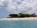 Captain Colin's Eco-tour of Beautiful Sandy Spit & Surrounding Islands JVD BVI Caribbean
