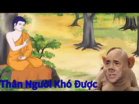 Thân Người Rất Khó Được