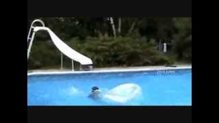 Watch Jeydon Wale Im In A Pool ft Hunter Hunkapoo video