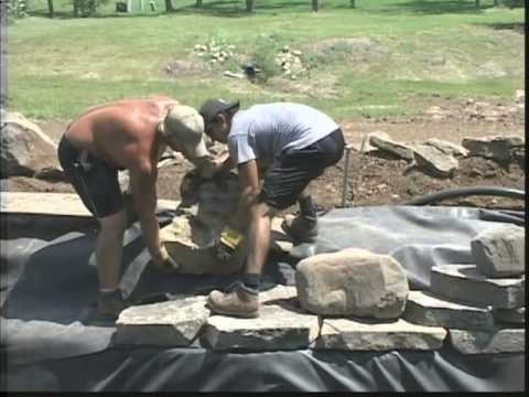 Dave's Koi Pond