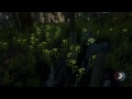 The Forest - Выживание - Строительство Лагеря  #9
