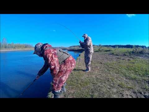 супер судак видео супер судак видео