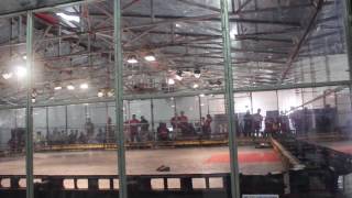 RG17 - Touro Light vs Carolina Campos