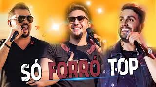 Forro Raiz So Os Melhores Repertorio Novo 2020
