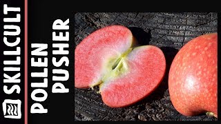 Pollinating Apple Blossoms And Pollen Now For Sale