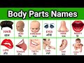 Parts of body name | body parts name | शरीर के अंगो के नाम | sharir ke angon ke naam | body name