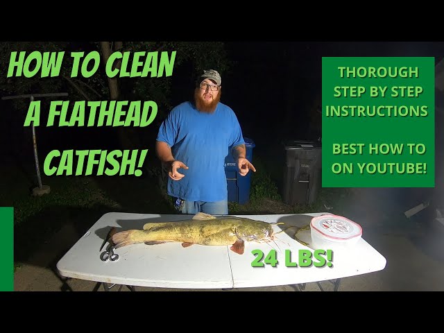 Watch HOW to clean a FLATHEAD CATFISH! on YouTube.