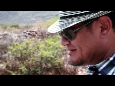 Luz y Sombra (Trailer)