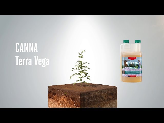 Watch (Français) CANNA Terra Vega on YouTube.